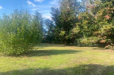 Terrain  98000 €