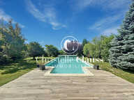 Maison familiale de 240 m² avec piscine sur terrain arboré de 850 m² à Salenthal — photo 2