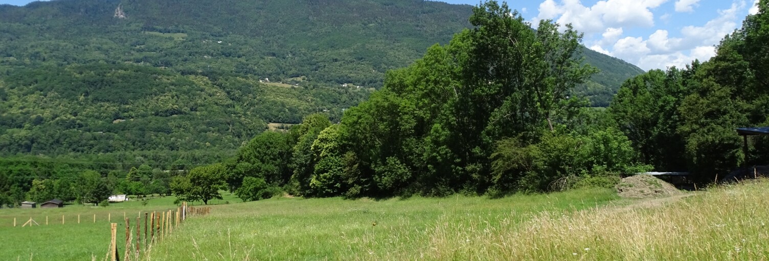 Photo N° 2