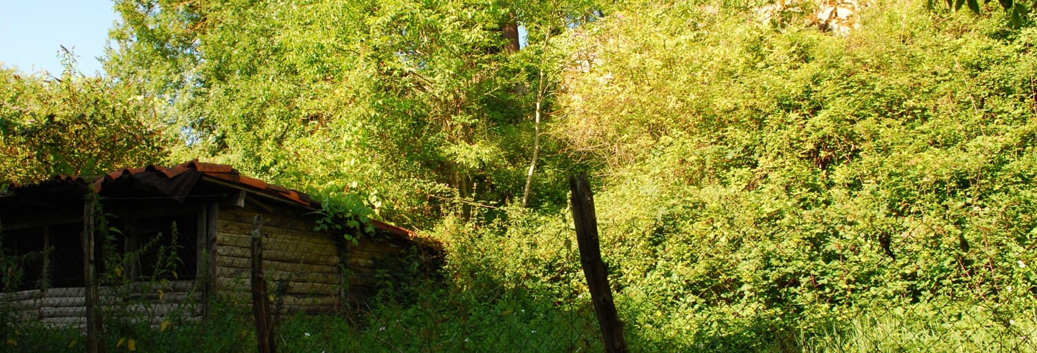 Terrain  1240 m² à vendre à Vira (09120)