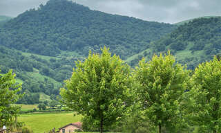 Photo N° 2