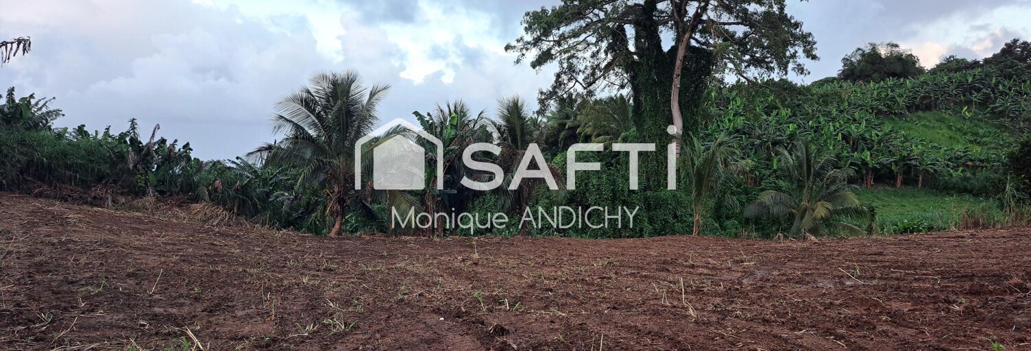 Terrain  700 m² à vendre à Le Lorrain (97214)
