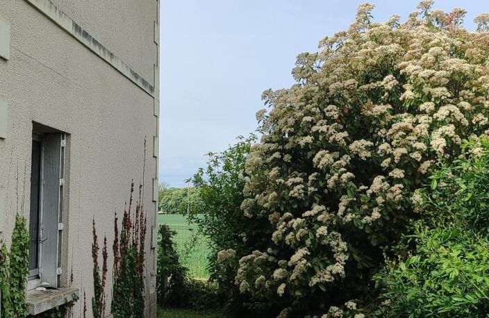 Superbe maison en pierre de Tuffe avec grand potentiel ! — photo 4