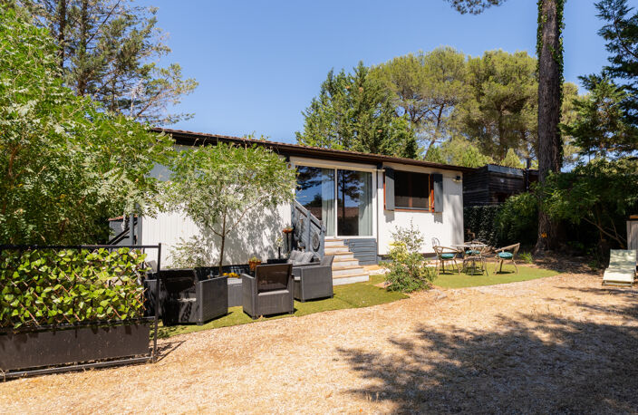 SOUS LES PINS — photo 3
