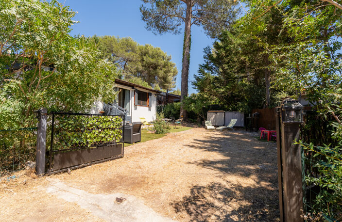 SOUS LES PINS — photo 4
