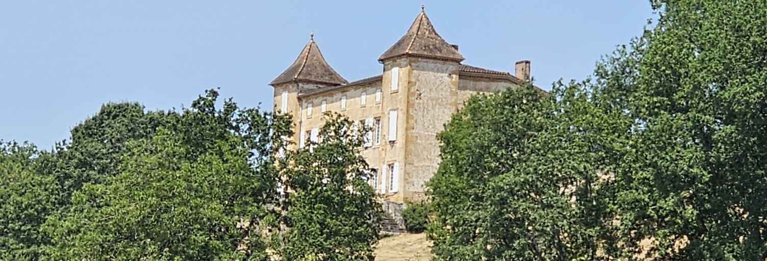 Maison 9 Pièces 294 m² à vendre à Condezaygues (47500)