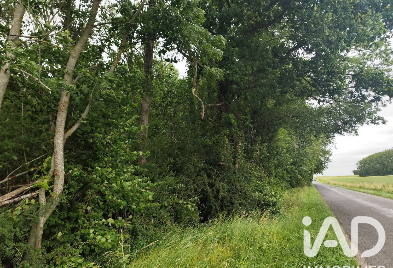 Vente Terrain 2 740 m&sup2; — photo 1