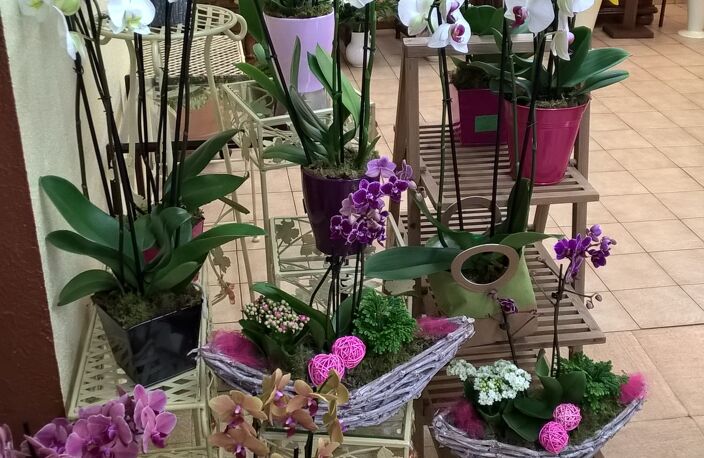 Vente Cadeaux, Fleurs 90 m&sup2; — photo 2