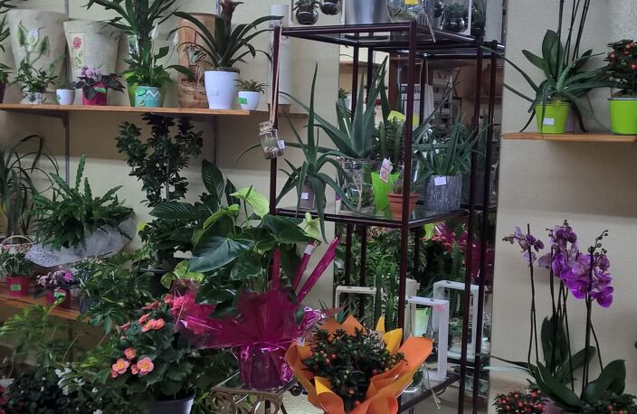 Vente Cadeaux, Fleurs 90 m&sup2; — photo 4