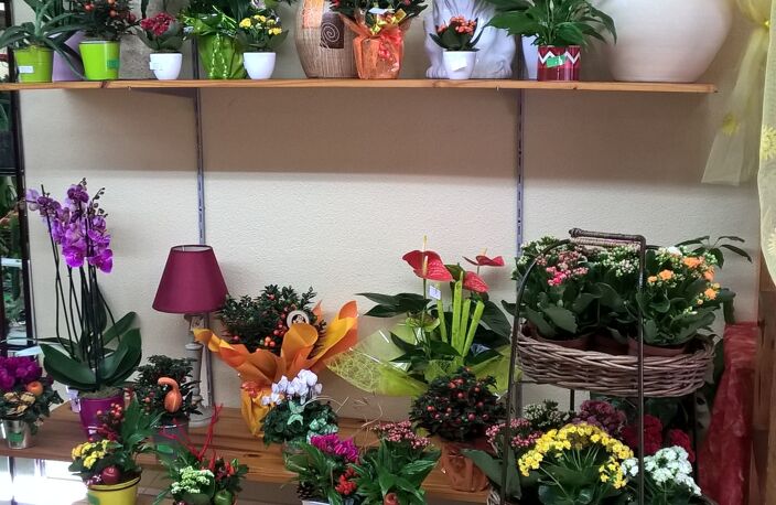 Vente Cadeaux, Fleurs 90 m&sup2; — photo 5