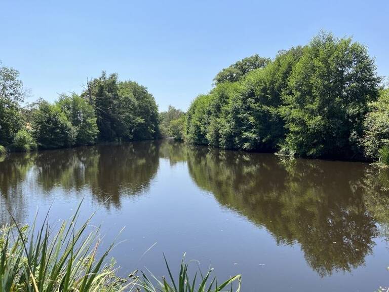 Etang de 0 pièces principales — photo 1
