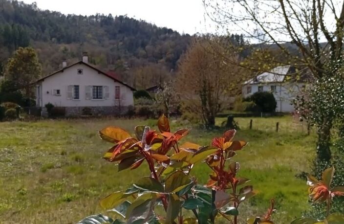Traditionnelle de 5 pièces principales — photo 2