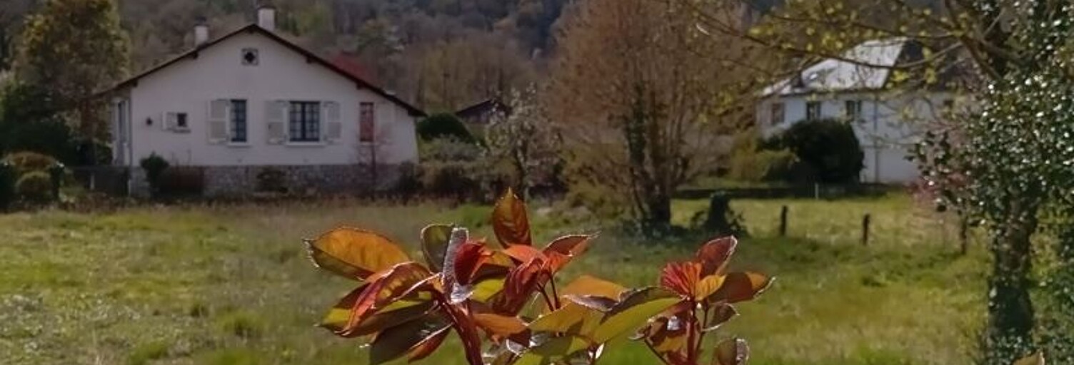 Photo N° 2