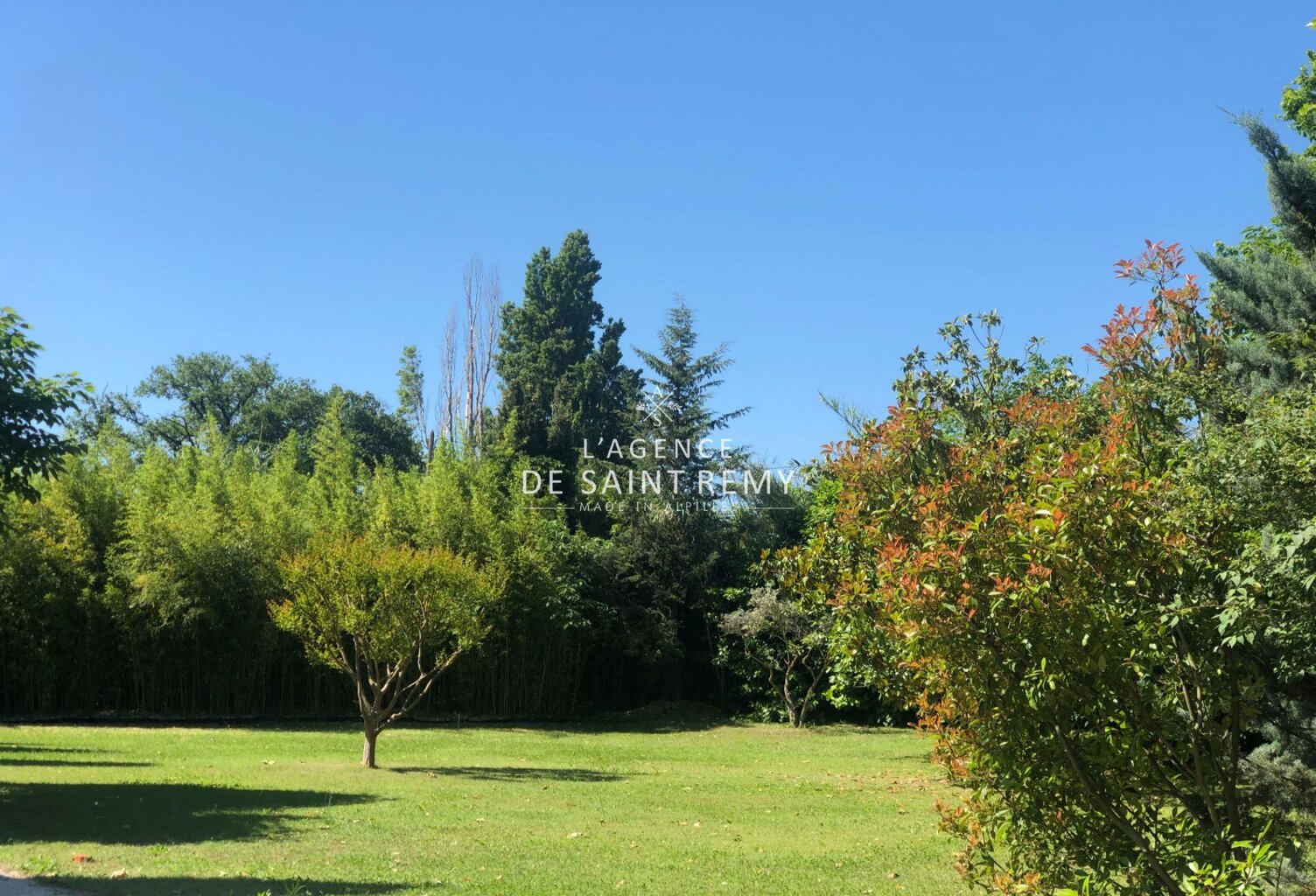 vente terrain à bâtir — photo 1