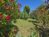 EXCLUSIVITE - BIOT - PROCHE VILLAGE — photo 2