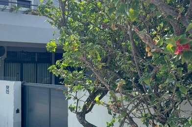 Appartement 3 pièces 295000 €