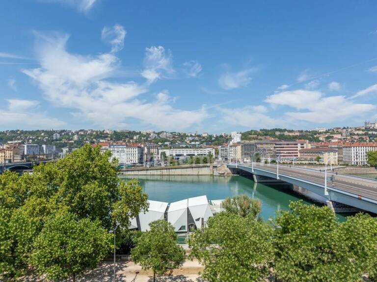 Lyon 7ᵉ – Duplex haussmannien avec vue panoramique — photo 1