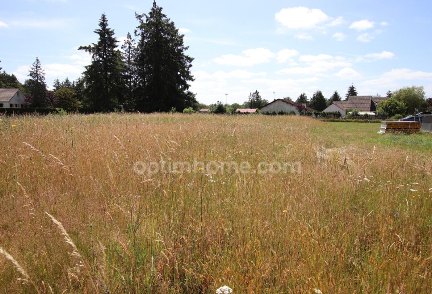 CHAUMONT SUR THARONNE, terrain  non viabilisé hors lotissement — photo 1