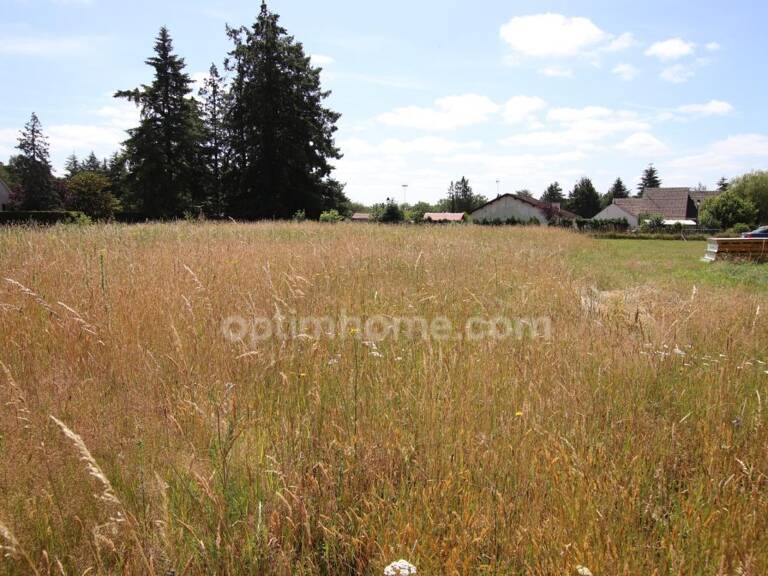CHAUMONT SUR THARONNE, terrain  non viabilisé hors lotissement — photo 1