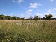 CHAUMONT SUR THARONNE, terrain  non viabilisé hors lotissement — photo 2