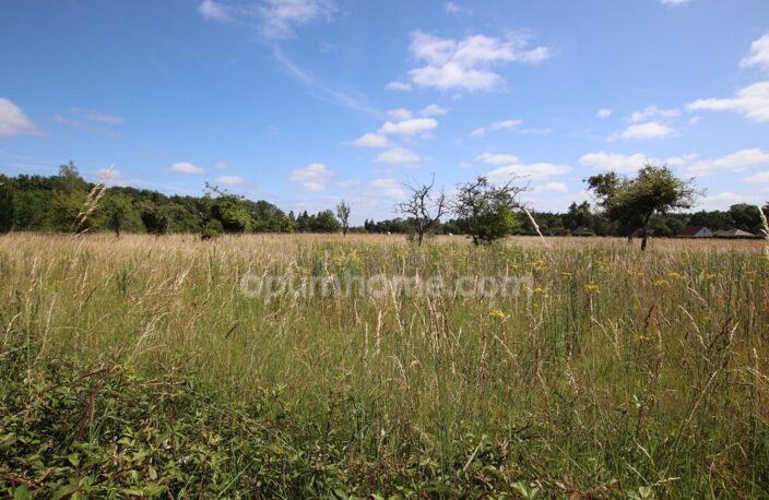 CHAUMONT SUR THARONNE, terrain  non viabilisé hors lotissement — photo 2