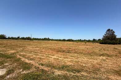 Terrain  40000 €