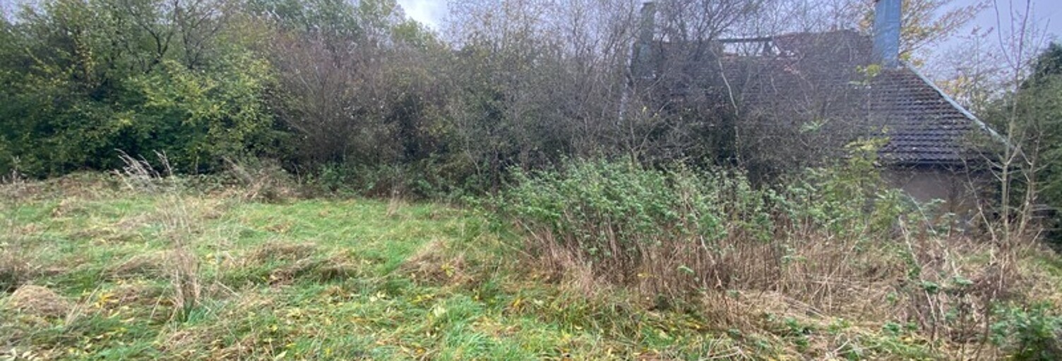 Terrain  6080 m² à vendre à Villers-la-Montagne (54920)