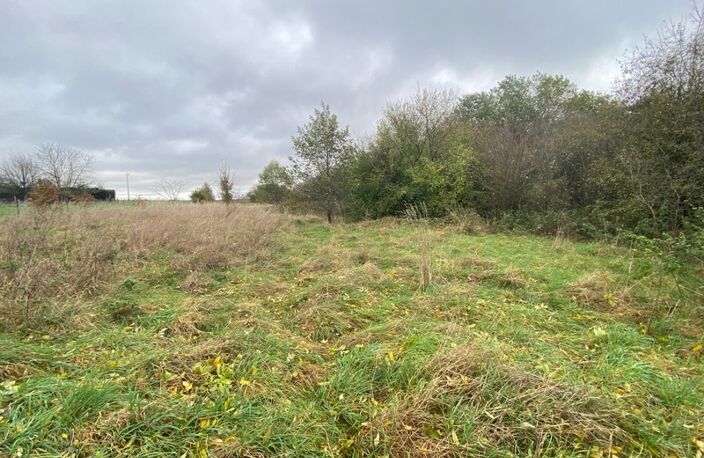 Terrain à vendre de 60 ares (dont 11 ares constructibles) sur la commune de Villers-la-Montagne — photo 4