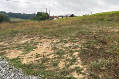 Terrain  49000 €