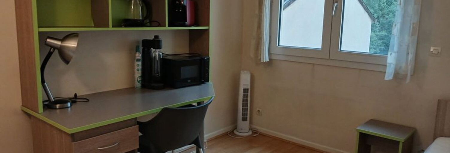 Appartement 1 Pièce 18 m² à louer à Lyon 7 (69007)
