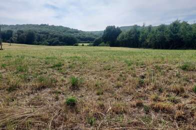 Terrain  37500 €