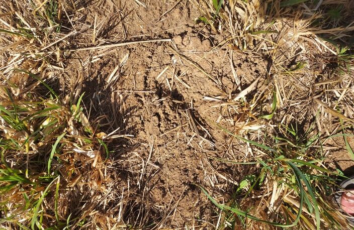Terrain à vendre de 1 800,00 m² LANZAC (46) — photo 4