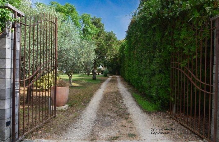 Propriete à vendre 7 pièces RAPHELE LES ARLES (13) 240m² évolutif sur 3300 m² avec piscine — photo 2