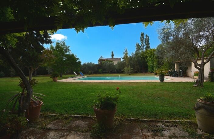 Propriete à vendre 7 pièces RAPHELE LES ARLES (13) 240m² évolutif sur 3300 m² avec piscine — photo 3
