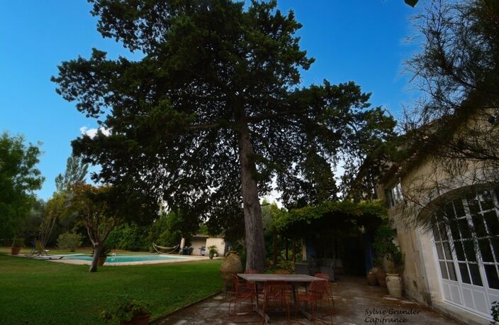Propriete à vendre 7 pièces RAPHELE LES ARLES (13) 240m² évolutif sur 3300 m² avec piscine — photo 4