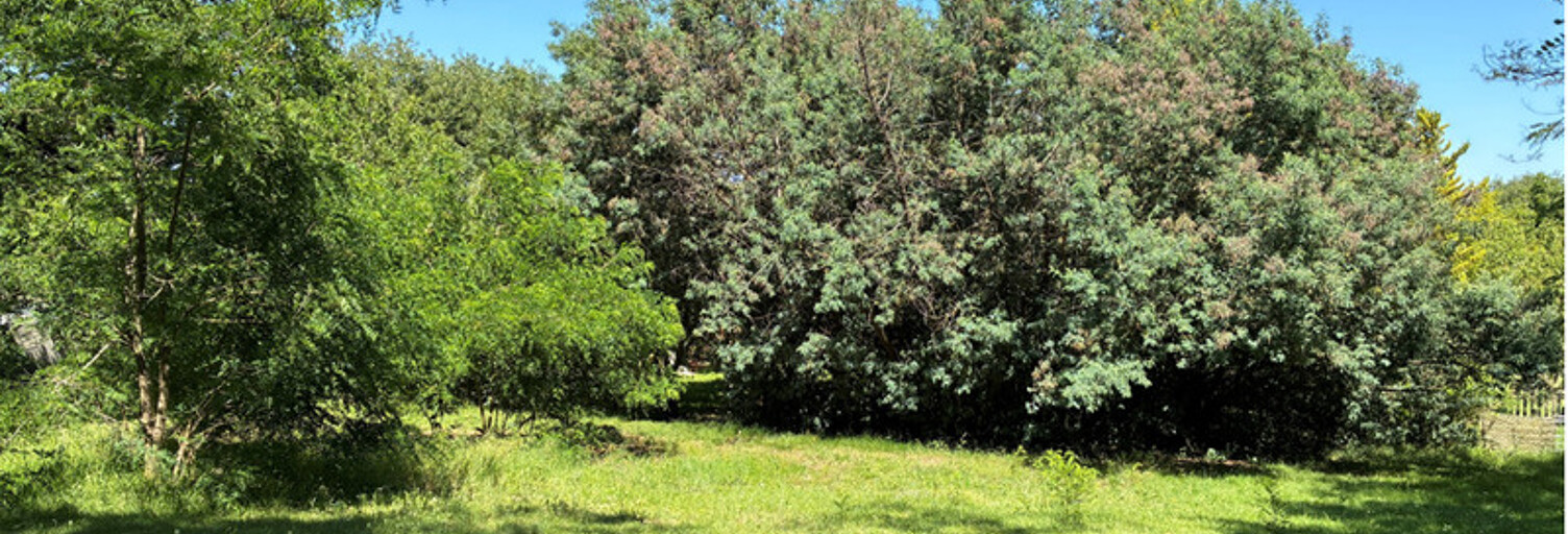 Terrain  1768 m² à vendre à Grazac (31190)
