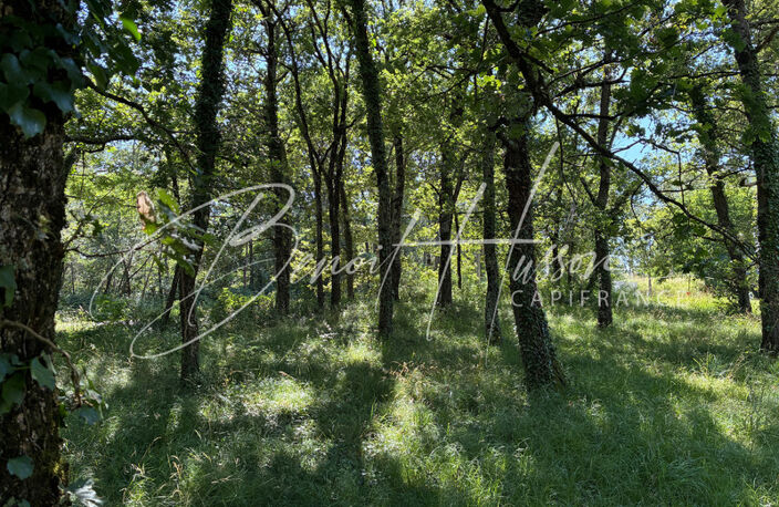 Terrain constructible de 1768m² - Hors lotissement — photo 4