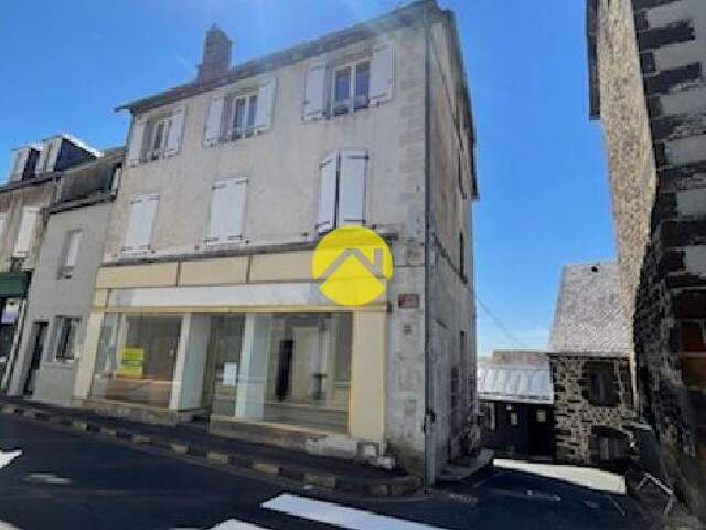 IMMEUBLE EN RAPPORT — photo du bien