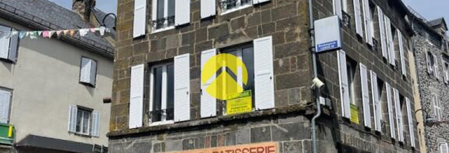 Maison 10 Pièces 151 m² à vendre à Pierrefort (15230)