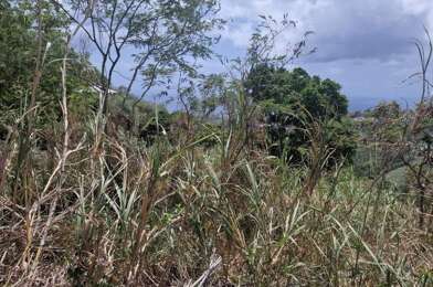 Terrain  140000 €