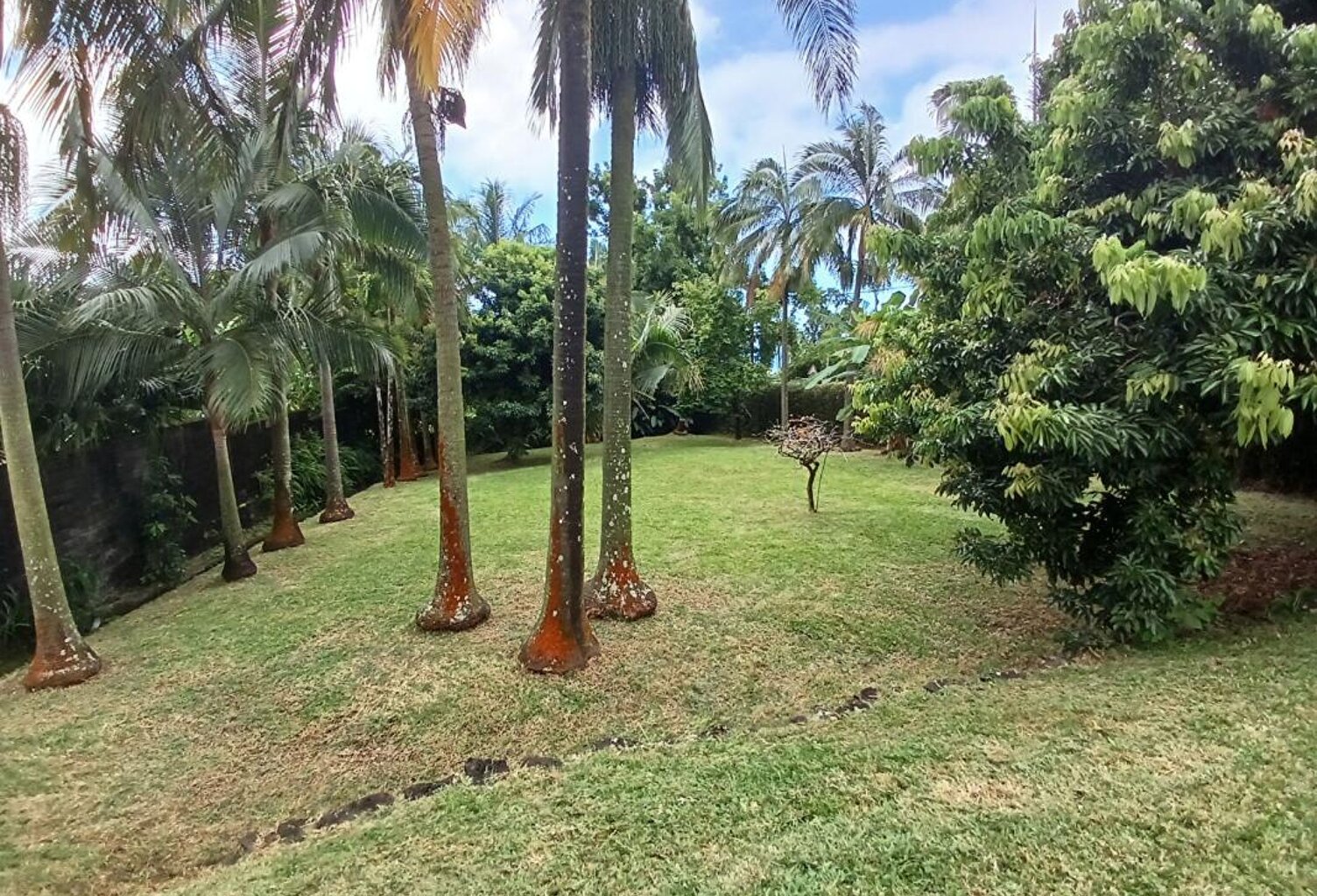 Belle villa familiale de 122 m² avec piscine sur terrain arboré  de 700 m² à Saint-Benoît (97470) — photo 1