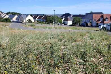 Terrain  55000 €