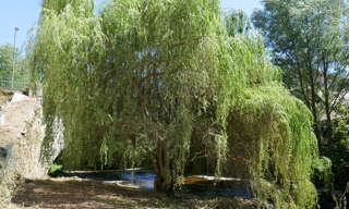Photo N° 2