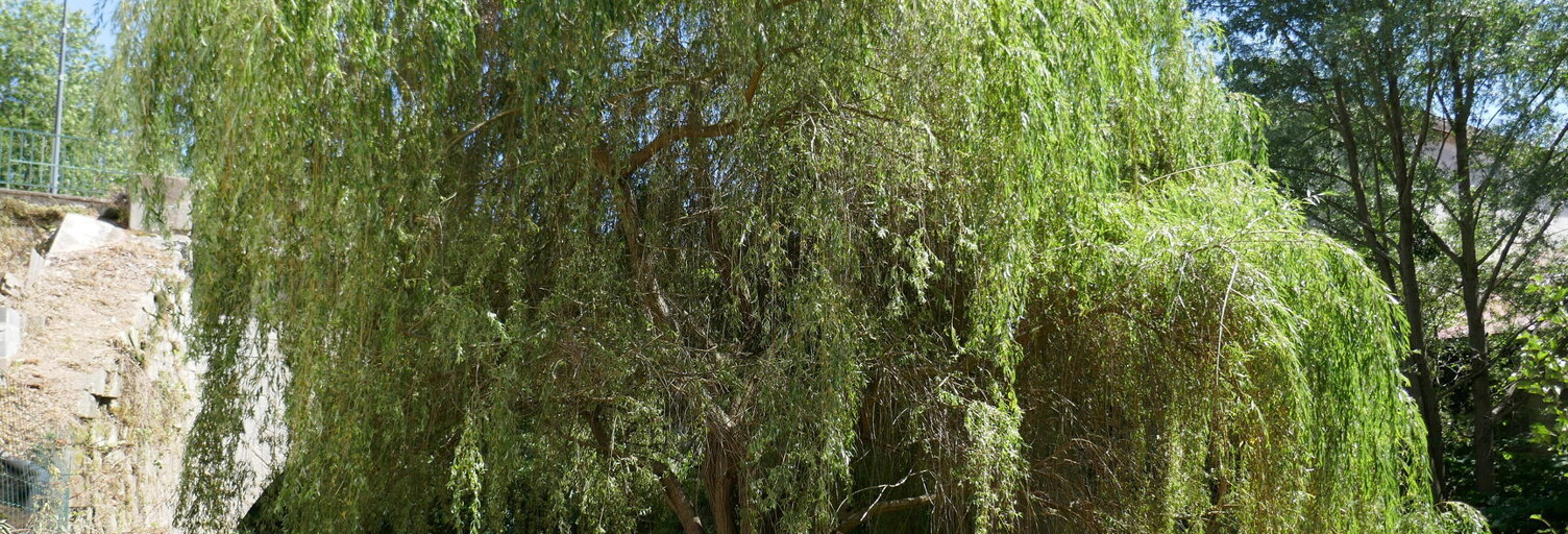 Photo N° 2