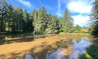 Terrain  10109 m² à vendre à Loupfougères (53700)