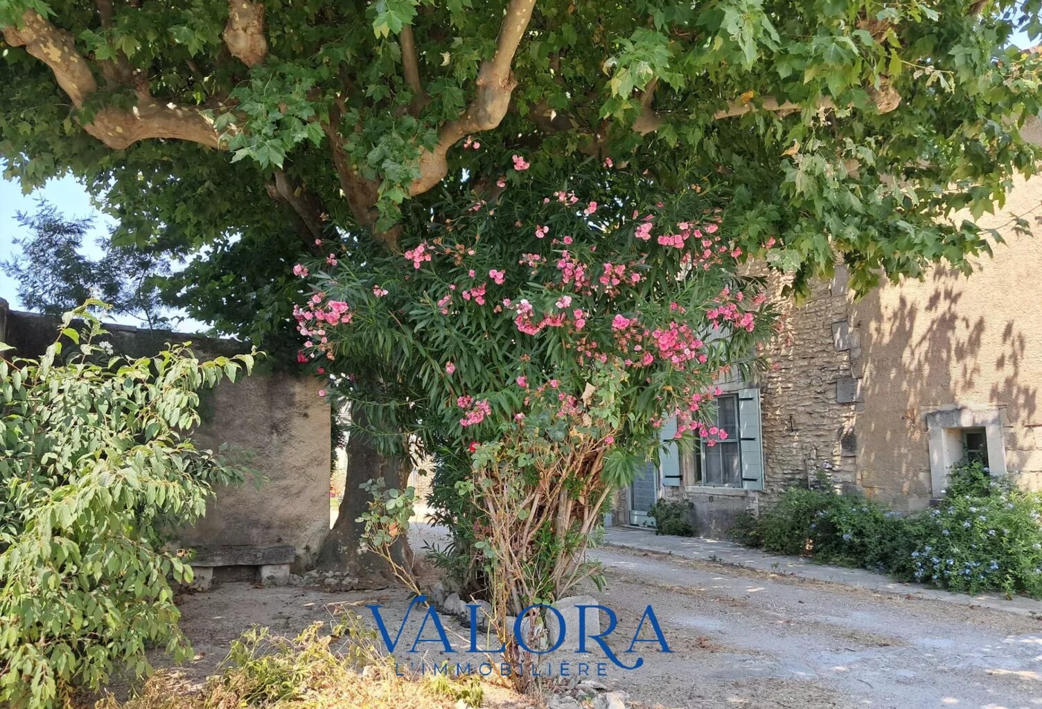 Une opportunité devenue rare : un véritable 'Mas' provençal du X — photo 1