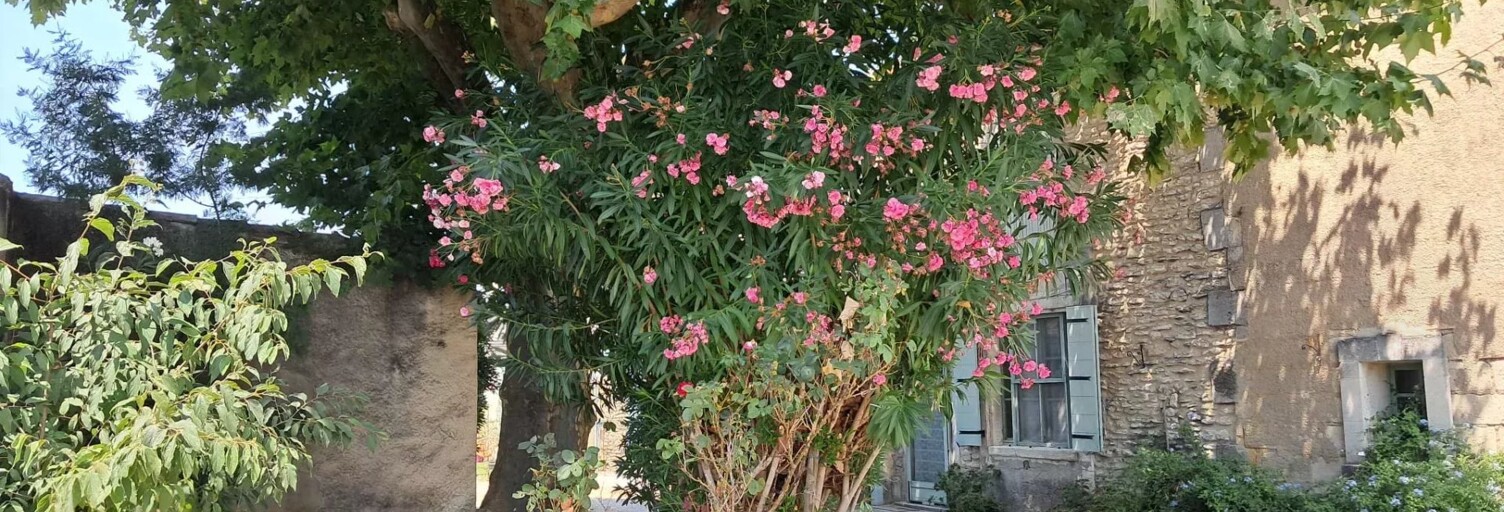 Maison 5 Pièces 127 m² à vendre à Saint-Rémy-de-Provence (13210)