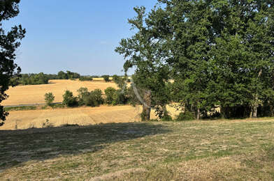 Terrain  78500 €