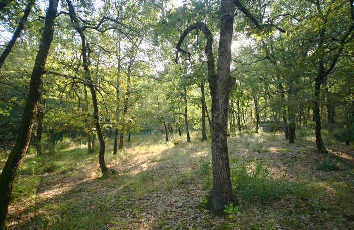 Caujac, environnement magnifique, petite maison de plain-pie — photo 3
