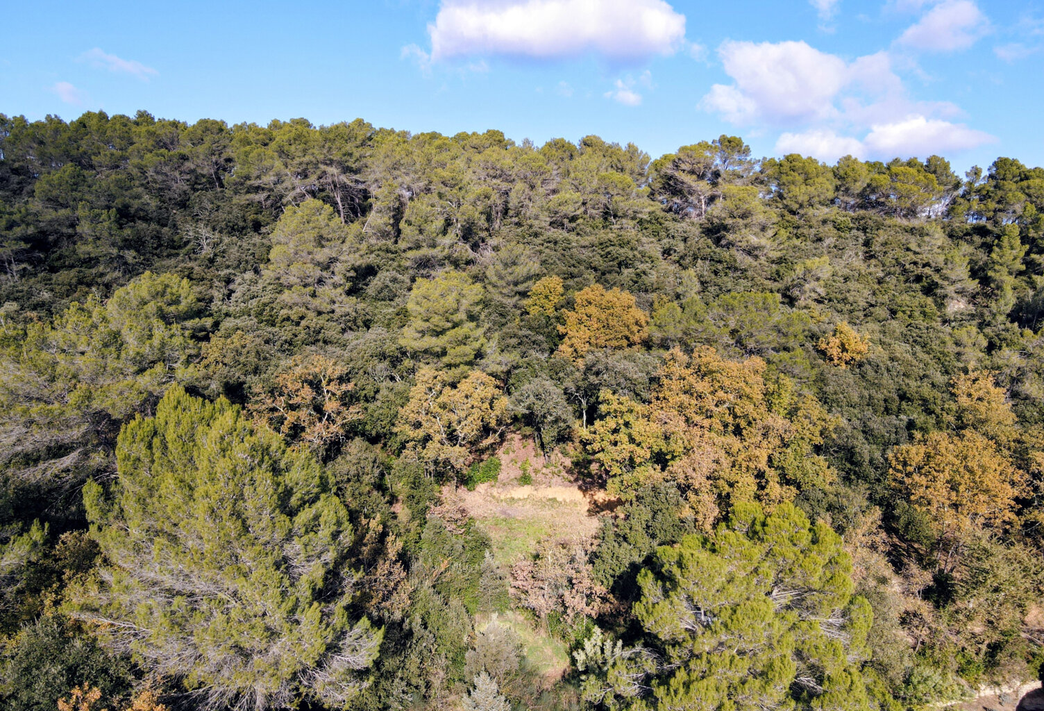 Terrain de 6 000 m2 boisé avec permis de construire accepté à 5 minutes d’Uzès — photo 1